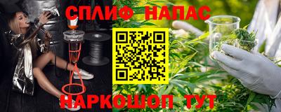 молекула духа Донской