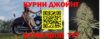 молекула духа Донецк