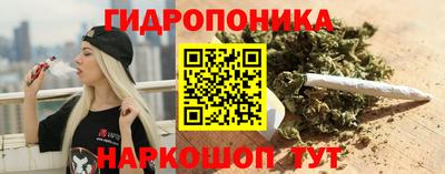 молекула духа Донской