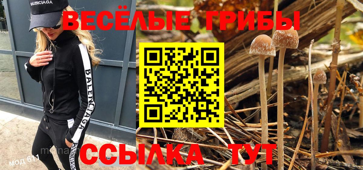 Псилоцибиновые грибы Magic Shrooms  Вход с VPN  Иркутск  Псилоцибиновые грибы Psilocybe 
